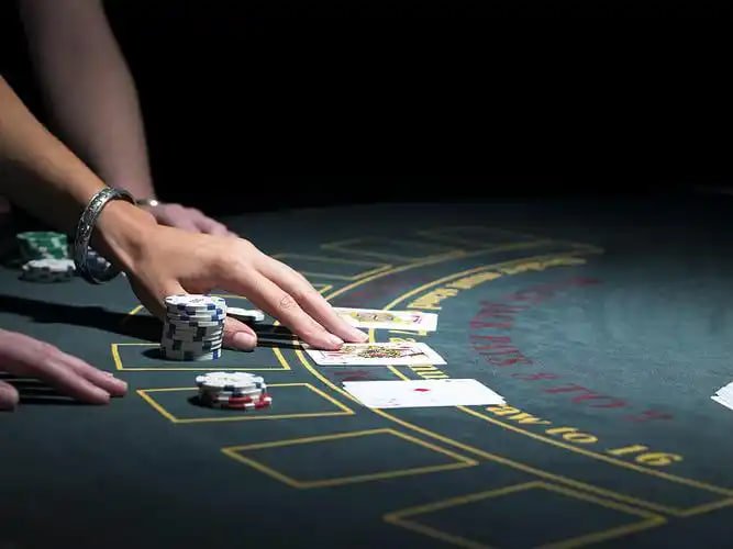 মোবাইল স্ক্রিনে pgkn ক্যাসিনো তথ্য পড়া